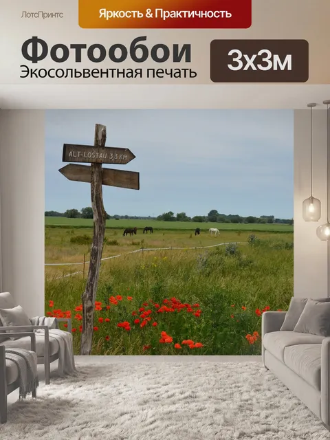 Фотообои Путь