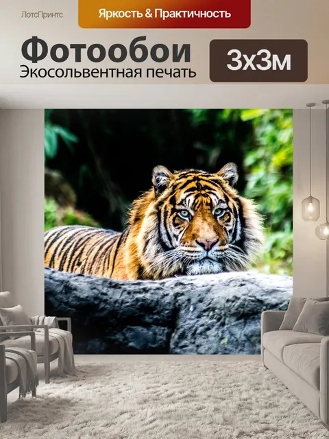 Фотообои Тигр