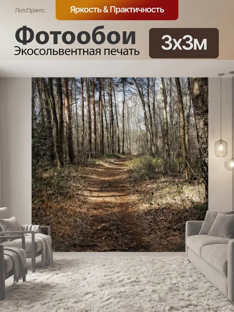 Фотообои Лесная тропа березы
