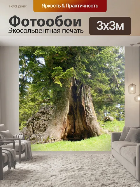 Фотообои Ствол дерева