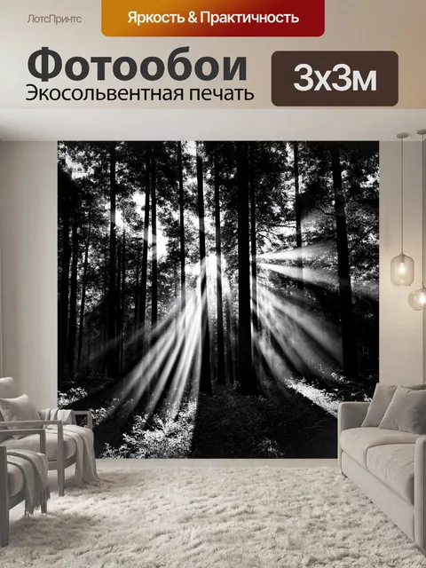 Фотообои черно-белый, показывающие яркие лучи света, пробивающиеся сквозь завесу деревьев в лесу