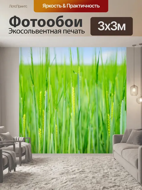 Фотообои Пшеничное поле