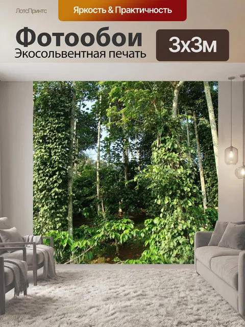 Фотообои Кофейная плантация