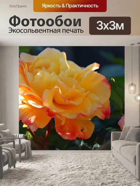 Фотообои Желтая роза