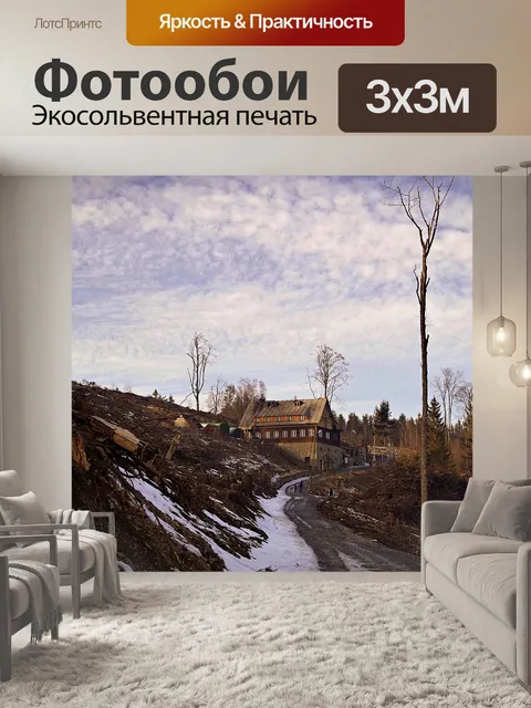 Фотообои Приют