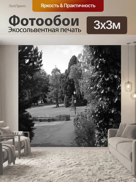 Фотообои скамейки на набережной