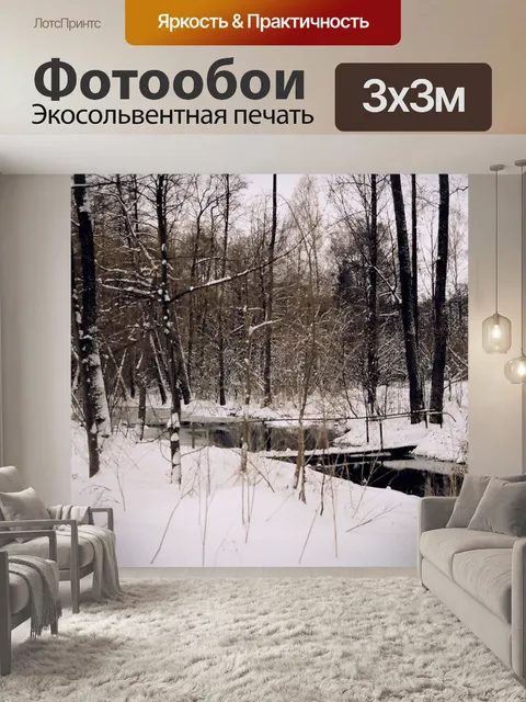 Фотообои Зимняя фотография около Люблина