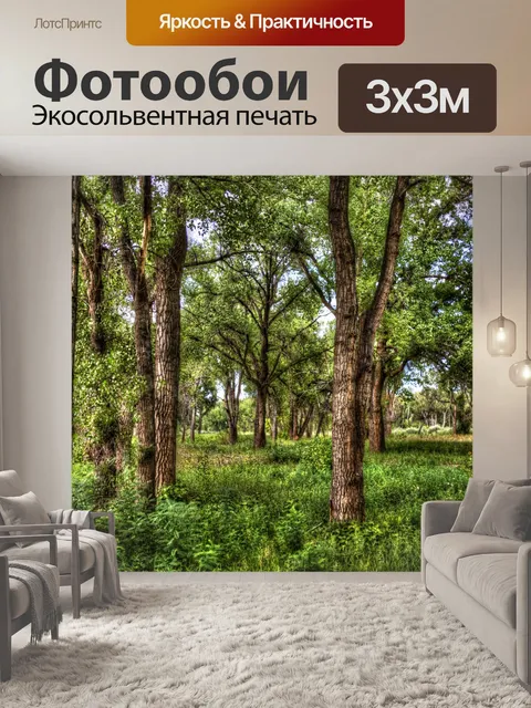 Фотообои Фантастический Лес Деревьев