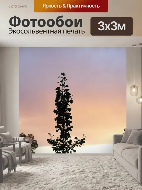 Фотообои Дерево гинкго билоба на фоне заката