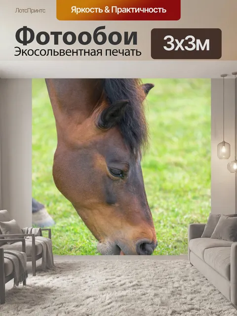Фотообои Выпас лошадей