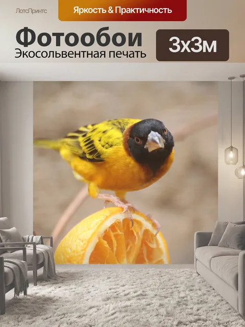 Фотообои Птица