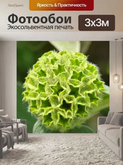 Фотообои Геометрия завода