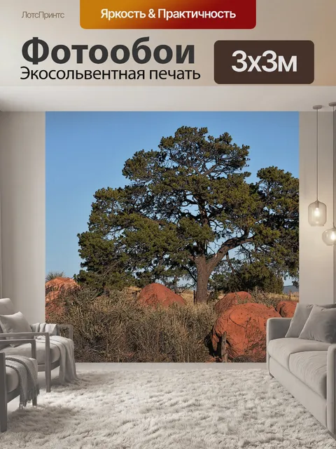 Фотообои Дерево в пустыне