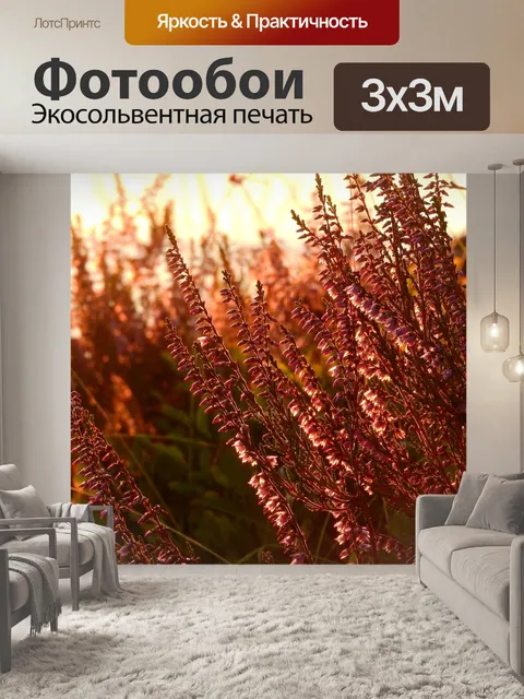 Фотообои Вереск
