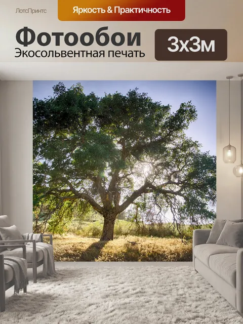 Фотообои Дуб и Солнце