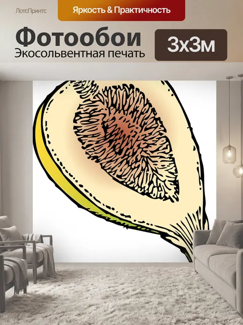 Фотообои Рис