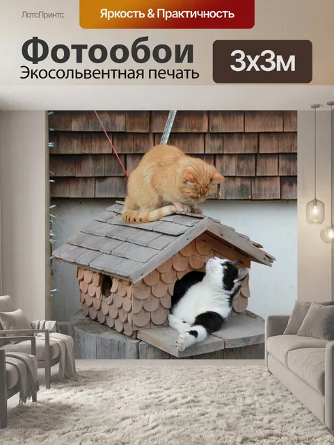 Фотообои Кот