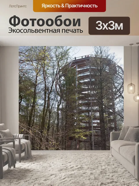 Фотообои Тропинка на верхушках деревьев