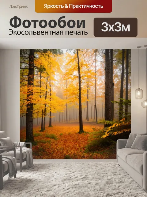 Фотообои сосны в осеннем лесу