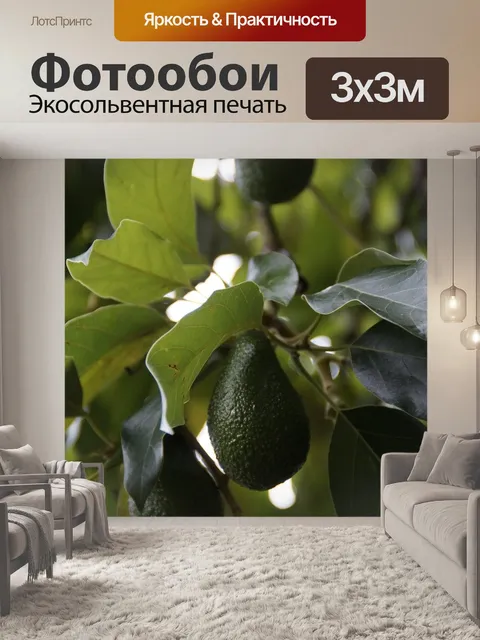 Фотообои Авокадо