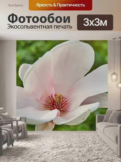 Фотообои Тюльпан магнолия