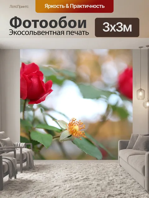 Фотообои Роза