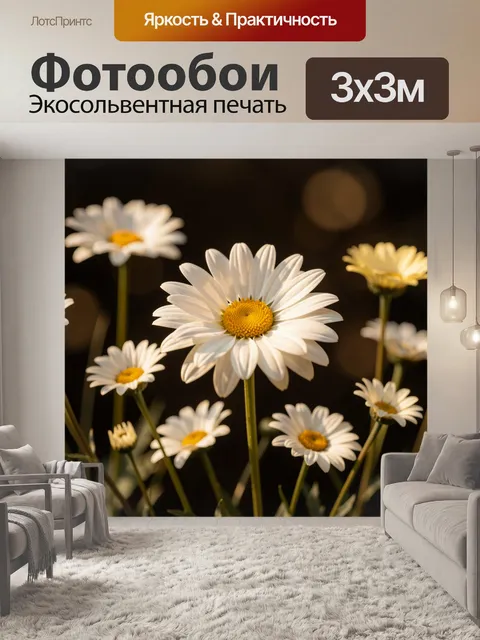 Фотообои Белые ромашки в лучах света