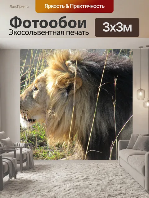 Фотообои Африка