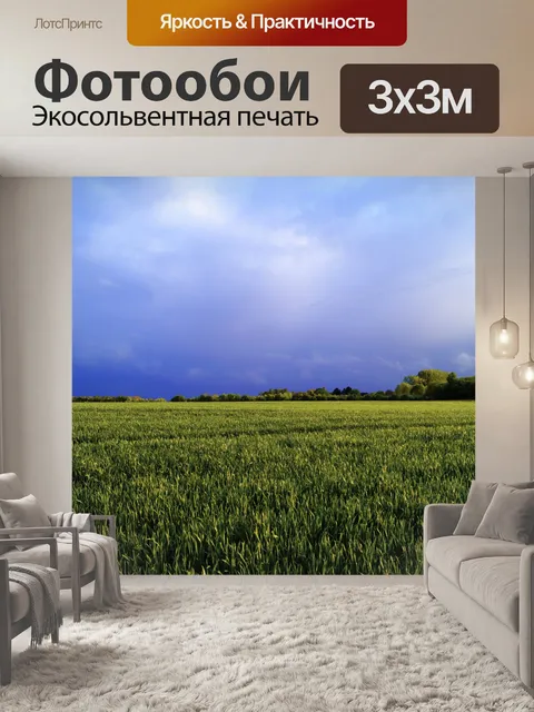 Фотообои Буря деревья поле небо