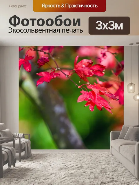 Фотообои Осенние цветы