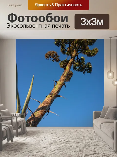 Фотообои Суперовые