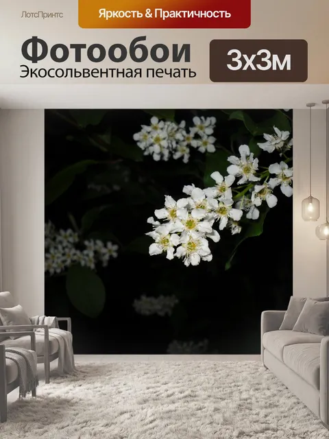 Фотообои Птица