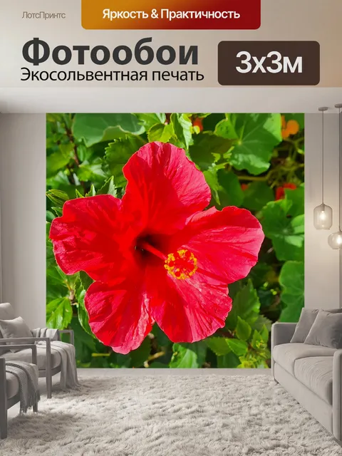Фотообои Красный гибискус