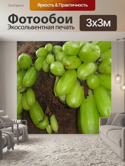 Фотообои зеленые плоды
