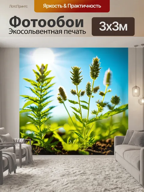 Фотообои в стиле фэнтези с травами и семенами, которые воспевают свой собственный мир в солнечном свете