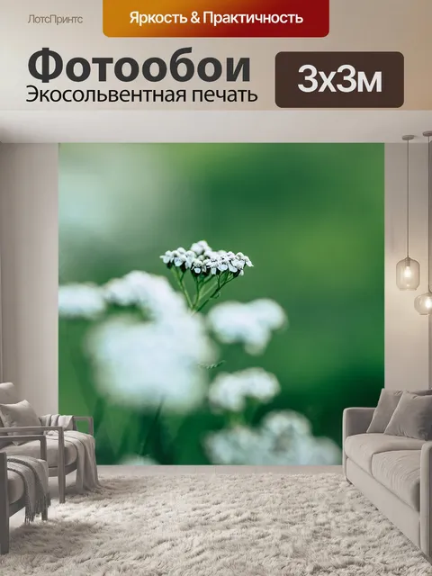 Фотообои Цветы