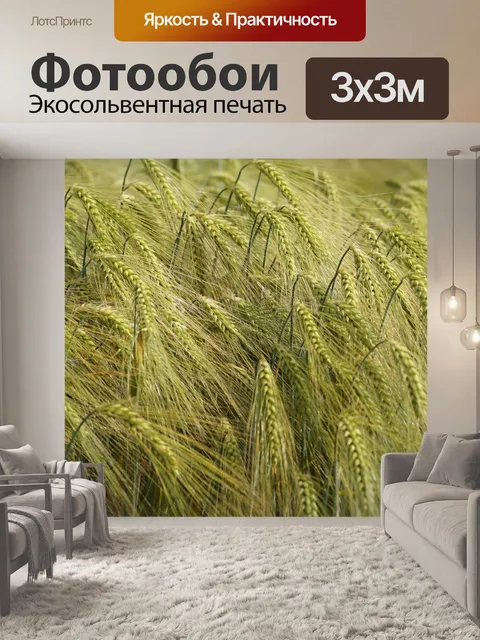 Фотообои Плоды поля ржаного ячменя