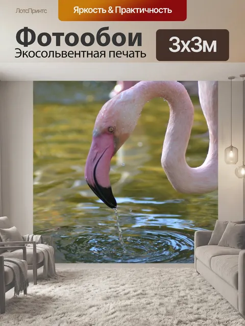 Фотообои Фламинго