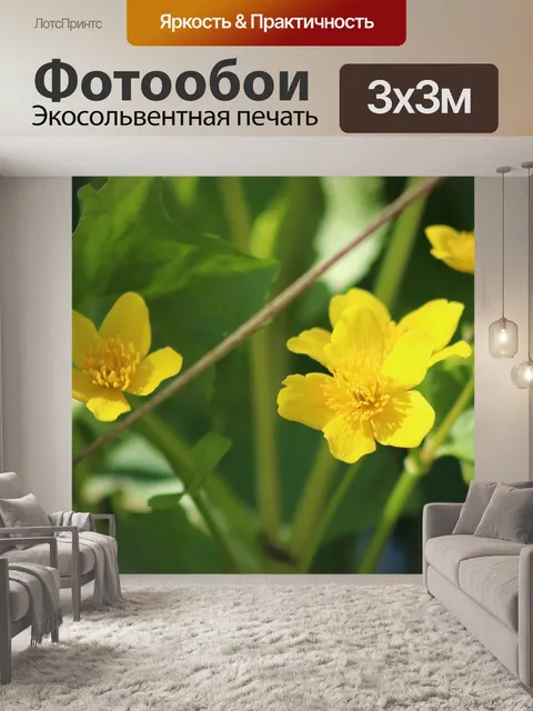 Фотообои Бархатцы болотные