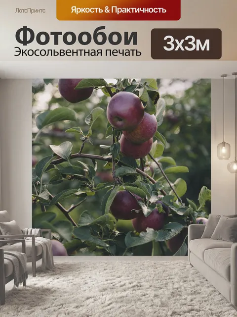 Фотообои Яблоко