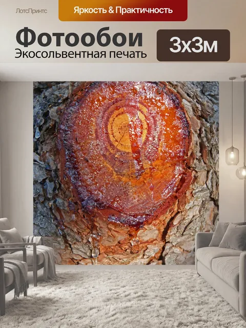 Фотообои Сосна