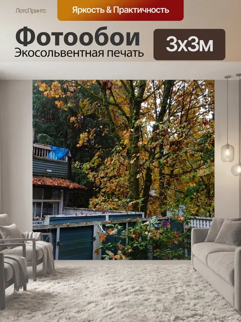Фотообои осенью
