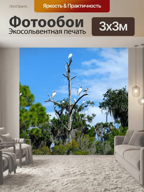 Фотообои Тропические птицы