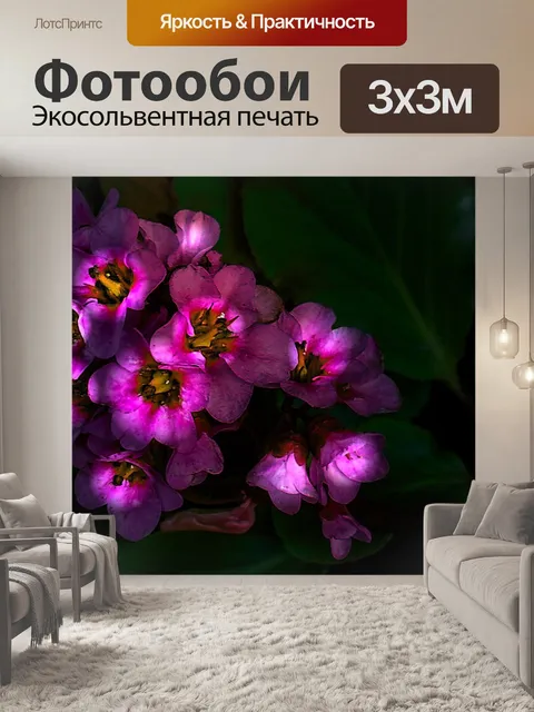 Фотообои Сад камней