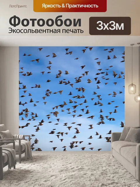 Фотообои Птицы