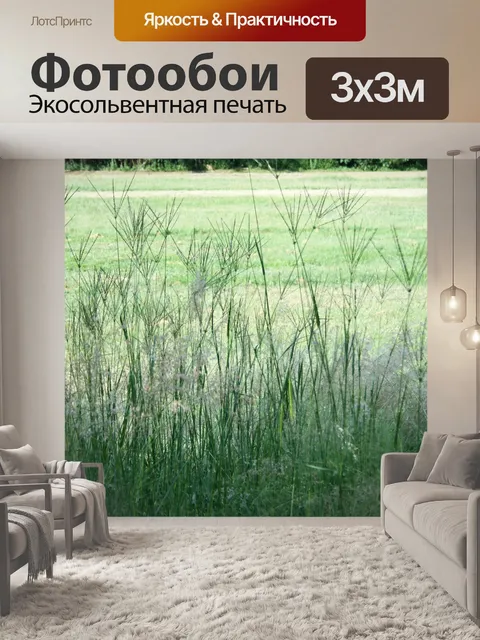 Фотообои высокая трава с зелеными пучками