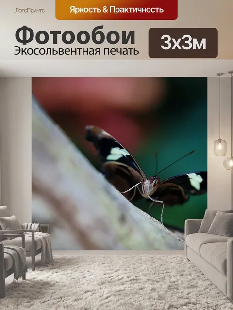 Фотообои Бабочка