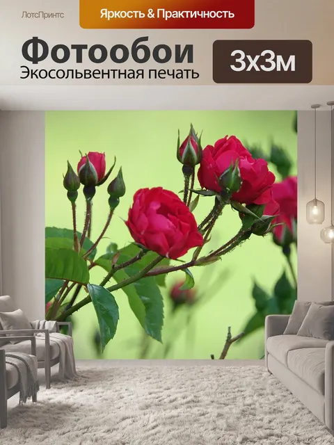 Фотообои Розы