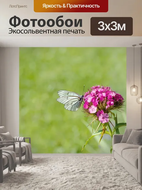 Фотообои Дерево белое