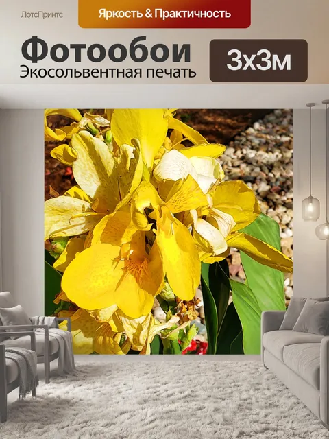 Фотообои Желтые ирисы